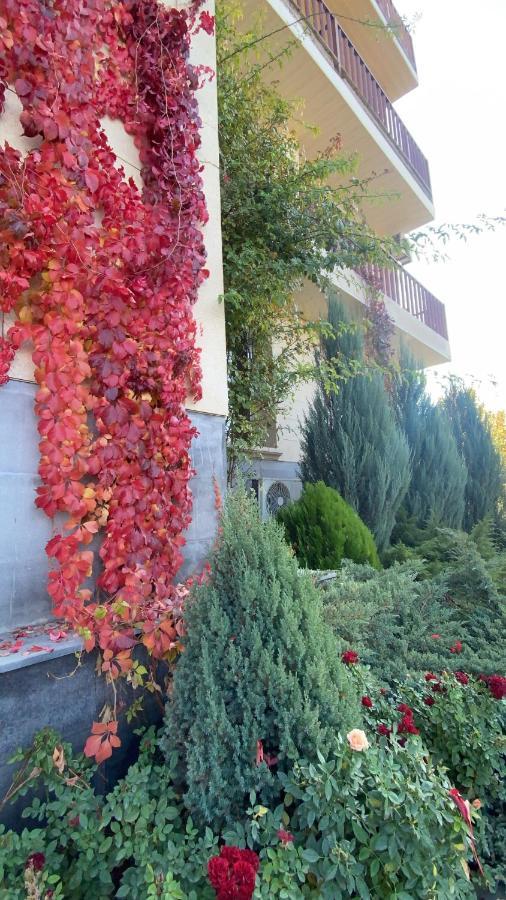 Olympia Garden 3* Yerevan