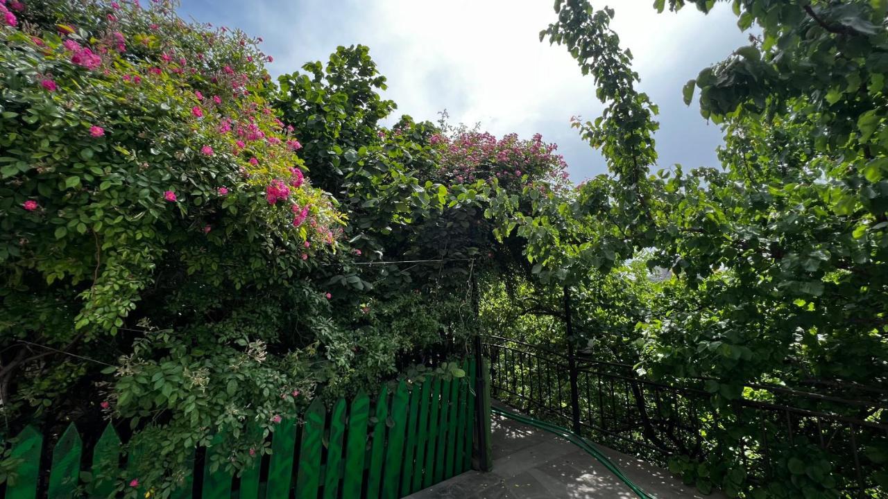 Hotel Olympia Garden Yerevan